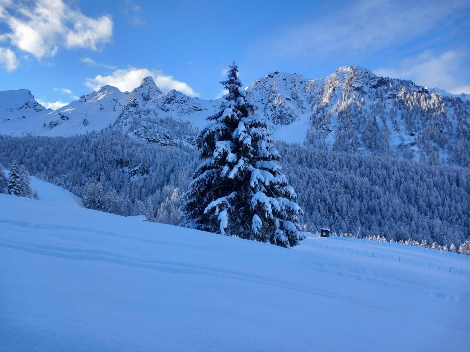 L' Aroula Rooms & Restaurant Champoluc Εξωτερικό φωτογραφία